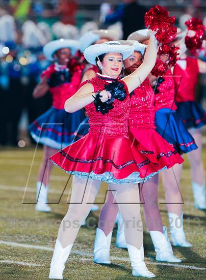 Thumbnail 1 in Birdville @ Richland photogallery.