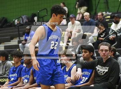 Thumbnail 1 in Mesquite @ Basha photogallery.