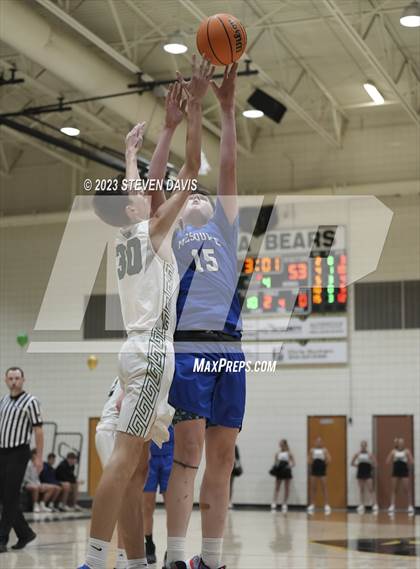 Thumbnail 2 in Mesquite @ Basha photogallery.