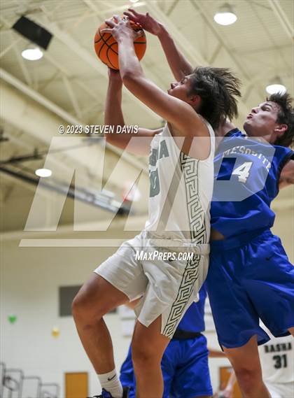 Thumbnail 3 in Mesquite @ Basha photogallery.