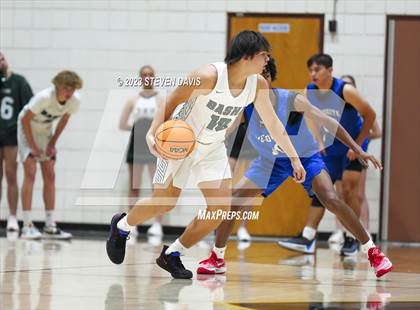 Thumbnail 3 in Mesquite @ Basha photogallery.