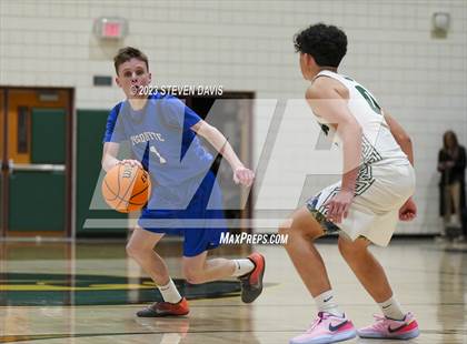 Thumbnail 3 in Mesquite @ Basha photogallery.