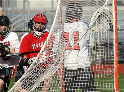 Thumbnail 2 in New Canaan @ Warde photogallery.
