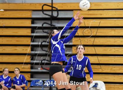 Thumbnail 2 in Glastonbury @ Fairfield Ludlowe (CIAC Class LL 2nd Round) photogallery.