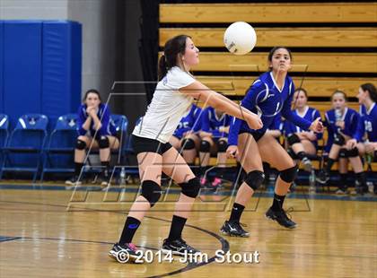 Thumbnail 1 in Glastonbury @ Fairfield Ludlowe (CIAC Class LL 2nd Round) photogallery.