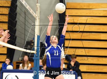 Thumbnail 3 in Glastonbury @ Fairfield Ludlowe (CIAC Class LL 2nd Round) photogallery.