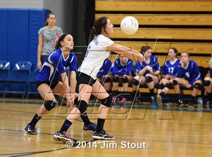 Thumbnail 2 in Glastonbury @ Fairfield Ludlowe (CIAC Class LL 2nd Round) photogallery.