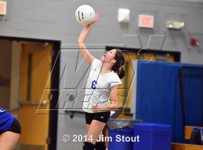 Thumbnail 2 in Glastonbury @ Fairfield Ludlowe (CIAC Class LL 2nd Round) photogallery.