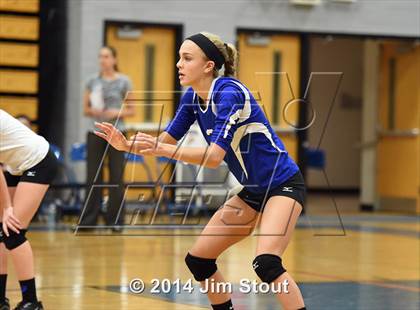 Thumbnail 2 in Glastonbury @ Fairfield Ludlowe (CIAC Class LL 2nd Round) photogallery.