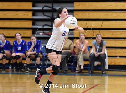 Thumbnail 1 in Glastonbury @ Fairfield Ludlowe (CIAC Class LL 2nd Round) photogallery.