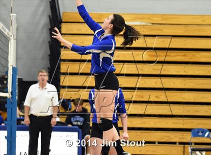 Thumbnail 1 in Glastonbury @ Fairfield Ludlowe (CIAC Class LL 2nd Round) photogallery.