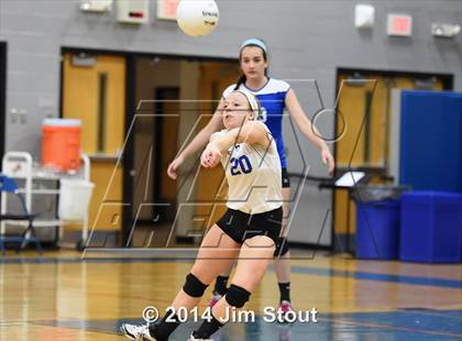 Thumbnail 2 in Glastonbury @ Fairfield Ludlowe (CIAC Class LL 2nd Round) photogallery.