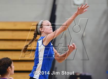 Thumbnail 3 in Glastonbury @ Fairfield Ludlowe (CIAC Class LL 2nd Round) photogallery.