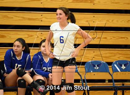 Thumbnail 1 in Glastonbury @ Fairfield Ludlowe (CIAC Class LL 2nd Round) photogallery.