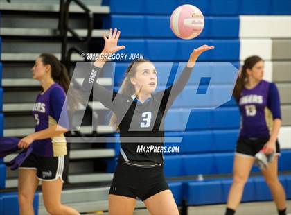 Thumbnail 2 in St. Scholastica vs. Thomas Jefferson (Penguin Volleyball Classic) photogallery.