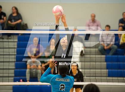 Thumbnail 2 in St. Scholastica vs. Thomas Jefferson (Penguin Volleyball Classic) photogallery.