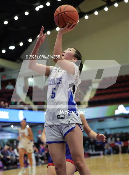 Thumbnail 3 in Dobbs Ferry vs Blind Brook (NYSPHSAA Section 1 Class B Semifinal) photogallery.