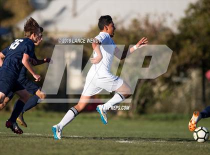 Thumbnail 1 in Pomona @ Columbine photogallery.