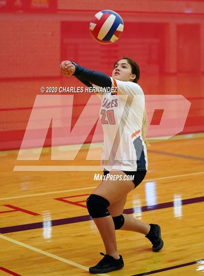 Thumbnail 1 in Tribe Warriors vs Winston (TAIAO State Tournament) photogallery.