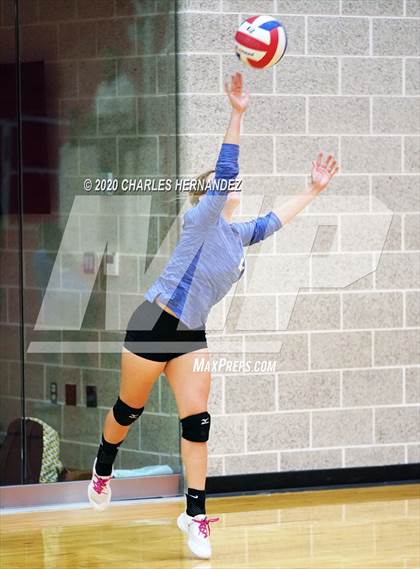 Thumbnail 3 in Tribe Warriors vs Winston (TAIAO State Tournament) photogallery.