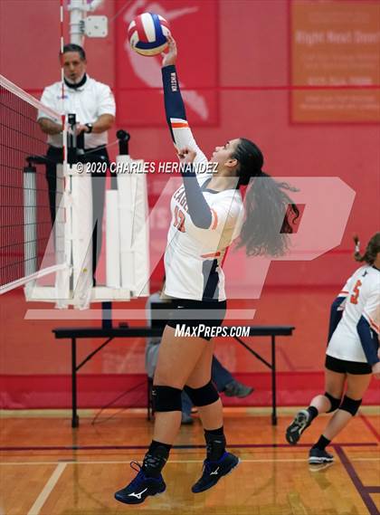Thumbnail 3 in Tribe Warriors vs Winston (TAIAO State Tournament) photogallery.