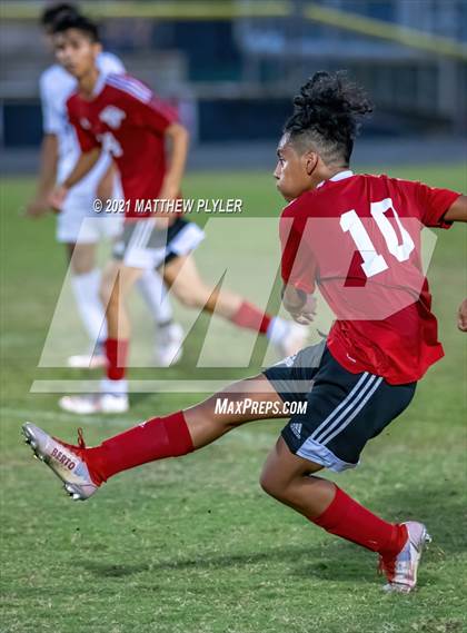 Thumbnail 1 in Southern Lee @ Hoke County photogallery.