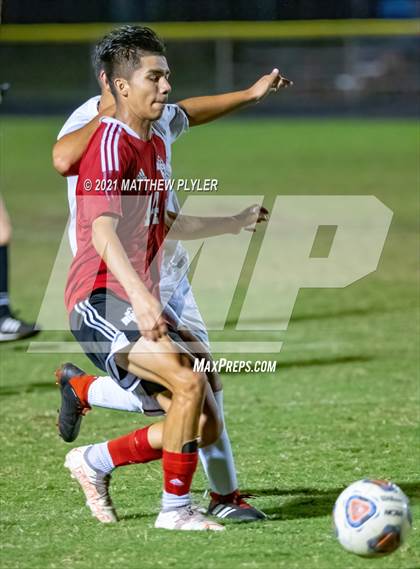 Thumbnail 1 in Southern Lee @ Hoke County photogallery.