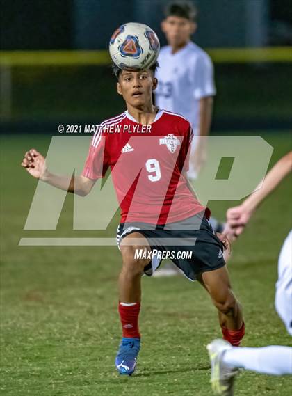 Thumbnail 1 in Southern Lee @ Hoke County photogallery.