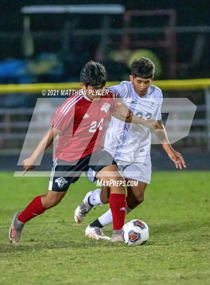 Thumbnail 1 in Southern Lee @ Hoke County photogallery.