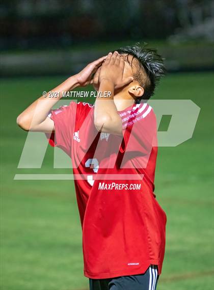 Thumbnail 2 in Southern Lee @ Hoke County photogallery.