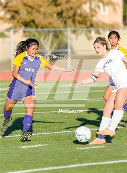 Thumbnail 1 in Desert Ridge vs. Mesa (Coyote Classic Soccer Tournament) photogallery.