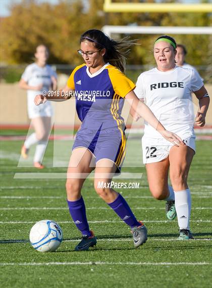 Thumbnail 1 in Desert Ridge vs. Mesa (Coyote Classic Soccer Tournament) photogallery.