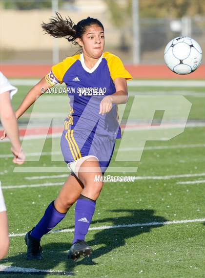 Thumbnail 3 in Desert Ridge vs. Mesa (Coyote Classic Soccer Tournament) photogallery.