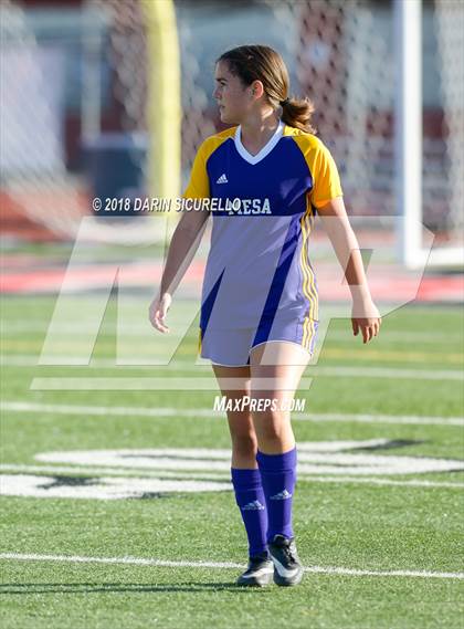 Thumbnail 1 in Desert Ridge vs. Mesa (Coyote Classic Soccer Tournament) photogallery.