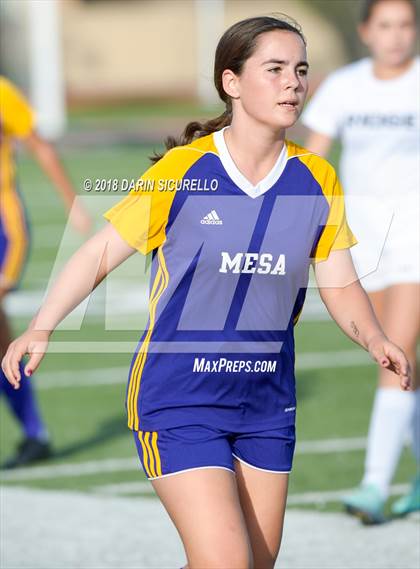 Thumbnail 3 in Desert Ridge vs. Mesa (Coyote Classic Soccer Tournament) photogallery.
