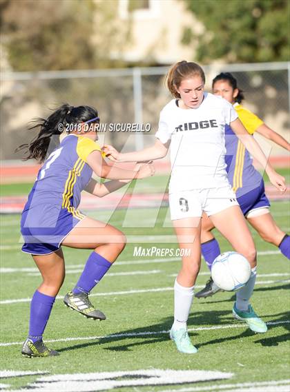 Thumbnail 3 in Desert Ridge vs. Mesa (Coyote Classic Soccer Tournament) photogallery.