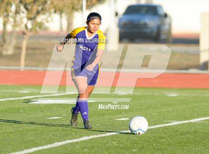 Thumbnail 3 in Desert Ridge vs. Mesa (Coyote Classic Soccer Tournament) photogallery.