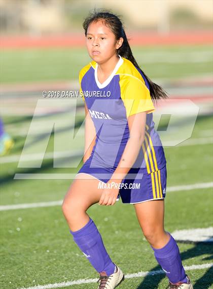 Thumbnail 2 in Desert Ridge vs. Mesa (Coyote Classic Soccer Tournament) photogallery.