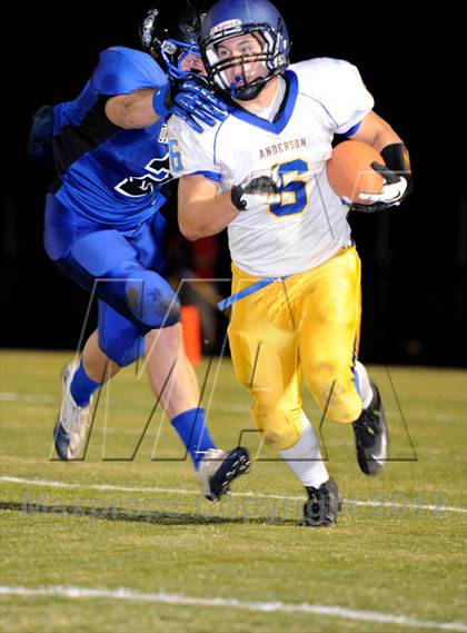 Thumbnail 3 in Anderson @ Orland photogallery.