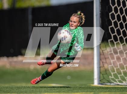 Thumbnail 1 in Fairview @ Mountain Vista (CHSAA 5A - 2nd Round) photogallery.