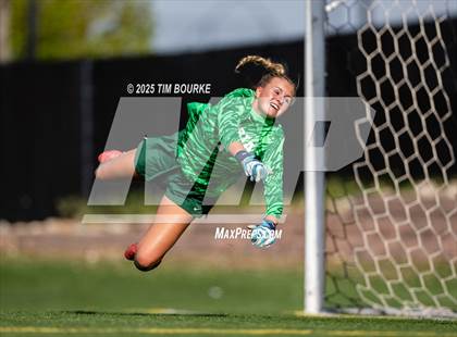 Thumbnail 2 in Fairview @ Mountain Vista (CHSAA 5A - 2nd Round) photogallery.