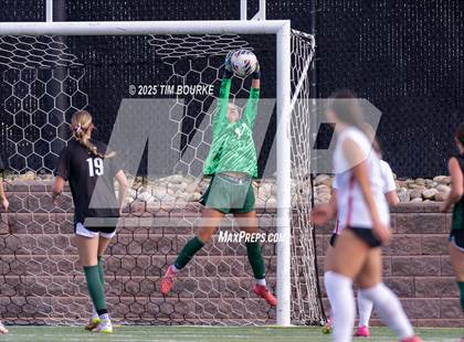 Thumbnail 2 in Fairview @ Mountain Vista (CHSAA 5A - 2nd Round) photogallery.