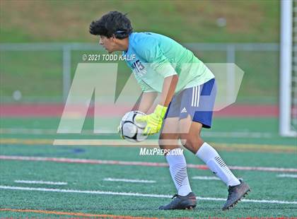 Thumbnail 3 in Wethersfield @ Glastonbury photogallery.