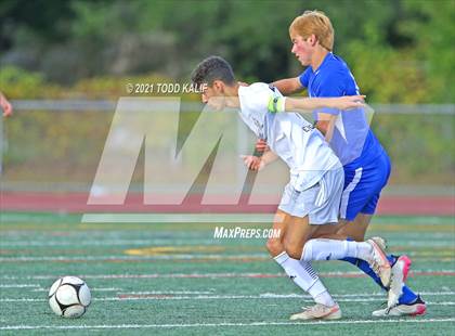 Thumbnail 2 in Wethersfield @ Glastonbury photogallery.