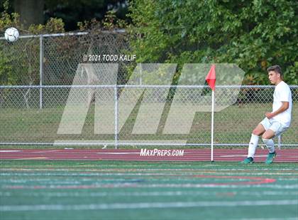Thumbnail 1 in Wethersfield @ Glastonbury photogallery.