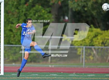 Thumbnail 1 in Wethersfield @ Glastonbury photogallery.