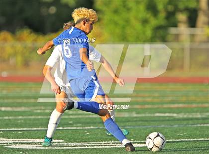 Thumbnail 3 in Wethersfield @ Glastonbury photogallery.