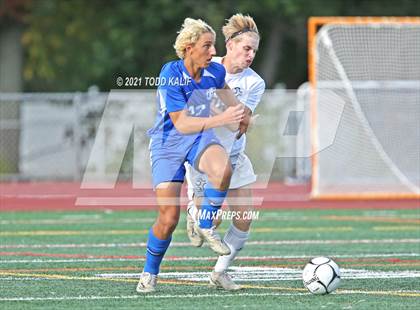 Thumbnail 1 in Wethersfield @ Glastonbury photogallery.