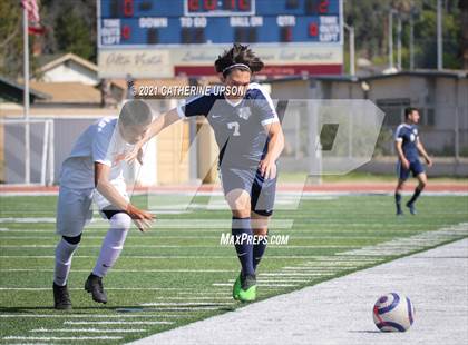 Thumbnail 3 in Poly @ Redlands photogallery.