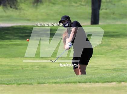 Thumbnail 1 in Bay Valley Athletic League Championship photogallery.